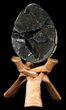 Septarian Dragon Egg Geode - Black Crystals #36713-1